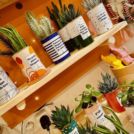 Fournisseur de plantes & cadeaux végétaux pour fleuristes et jardineries