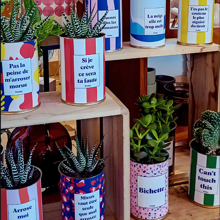 Grossiste cadeaux & déco en France 