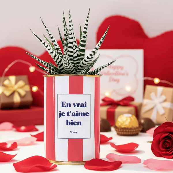 Idée Saint Valentin originale  offrez une plante personnalisée