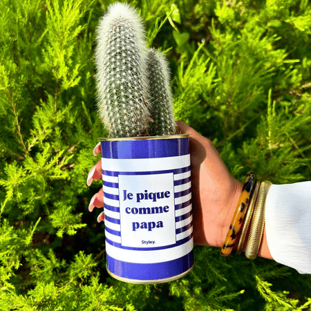 Cadeau fête des pères : idées originales par budget et profil de papa