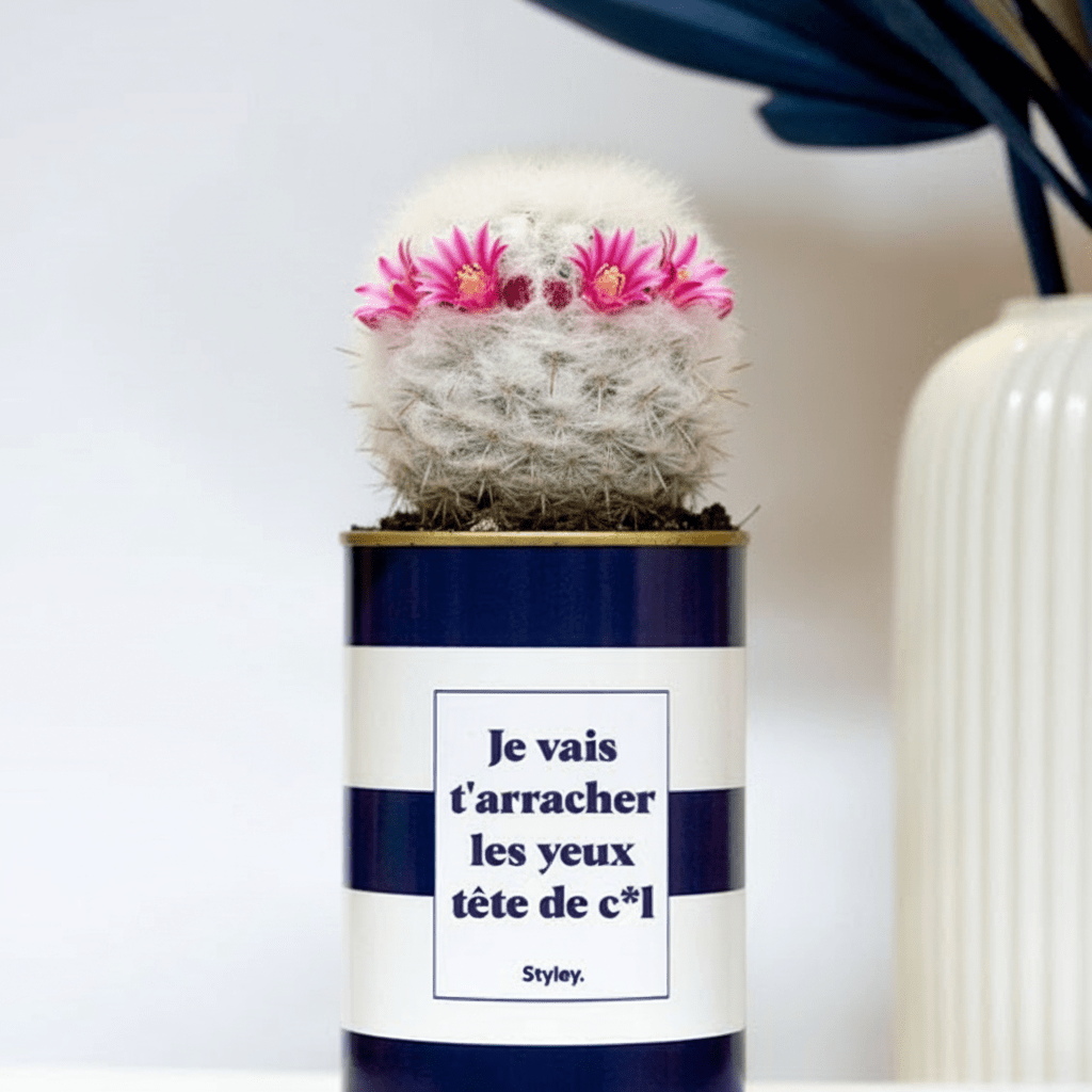 Quel cactus es-tu ?