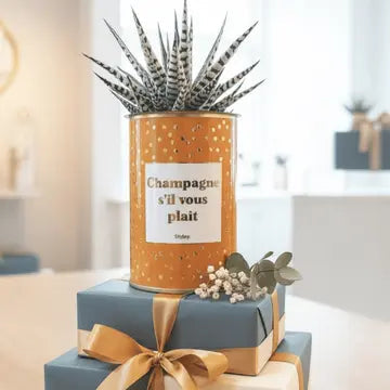 Les meilleures plantes cadeaux