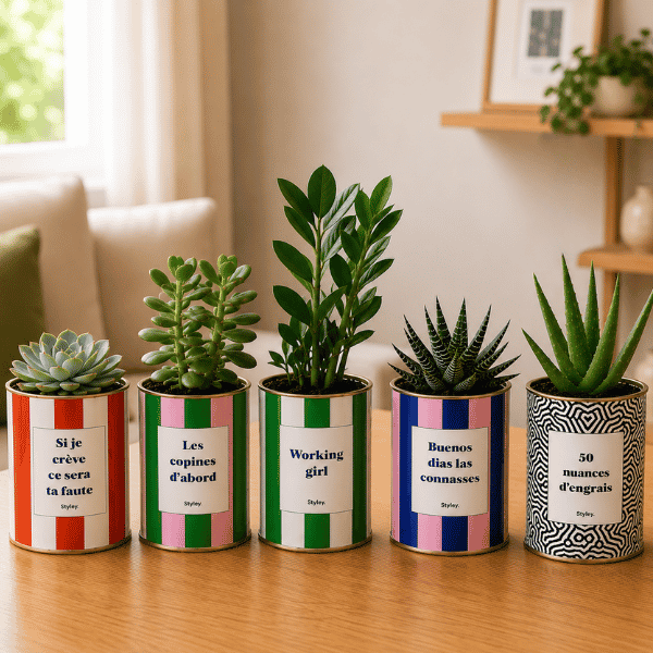 Top 6 Plantes anti-stress