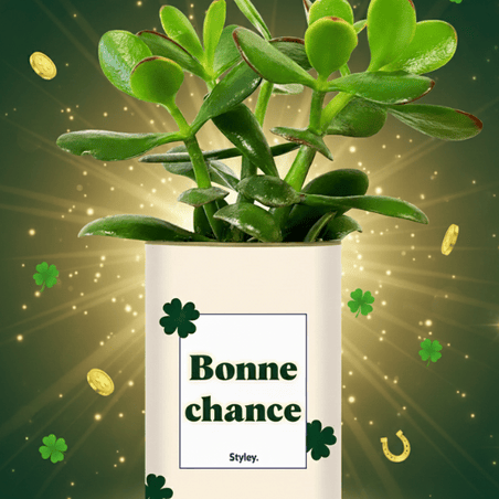 Plantes porte-bonheur  laquelle choisir 