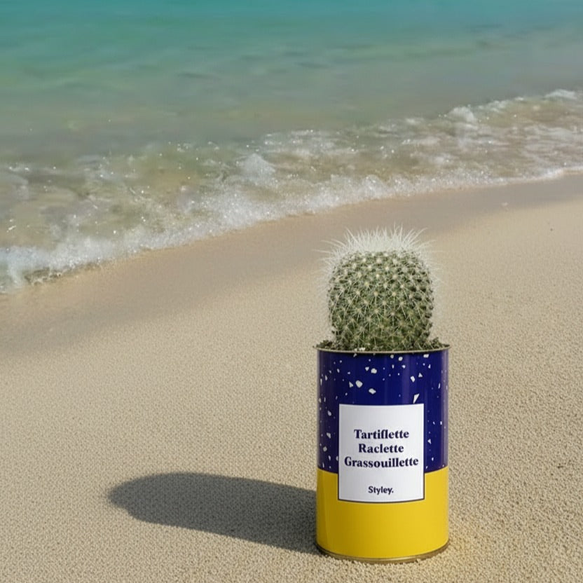 6 plantes qui survivent à vos vacances