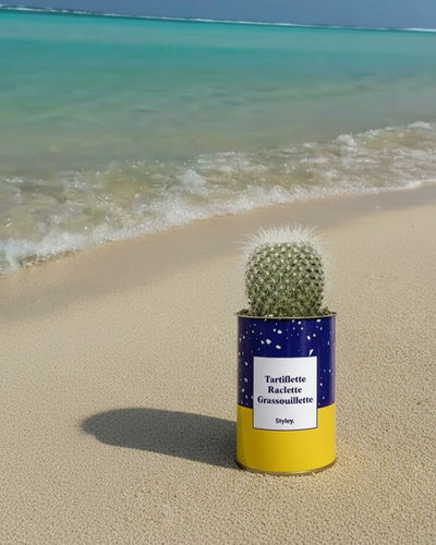 6 plantes qui survivent à vos vacances