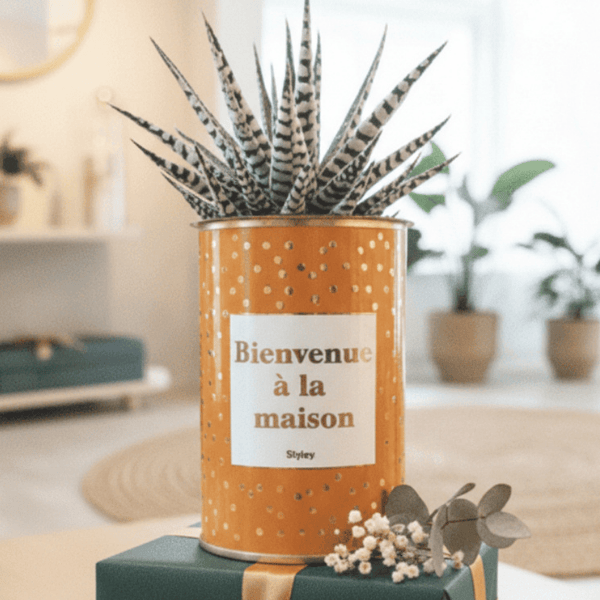 Plante à offrir pour une nouvelle maison