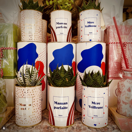 Vendre des plantes et bougies personnalisées en boutique : le guide du revendeur