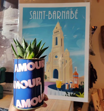 Cadeaux originaux avec plantes : 15 idées fun et personnalisées