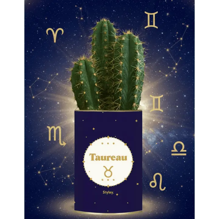 Quel cactus correspond à votre signe astrologique ? - Styley