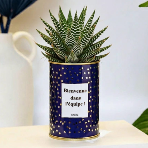 Idee cadeau collegue