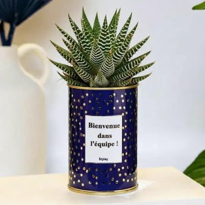 Idee cadeau collegue