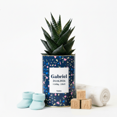 Cadeau naissance ou baptême : une plante qui grandit avec bébé