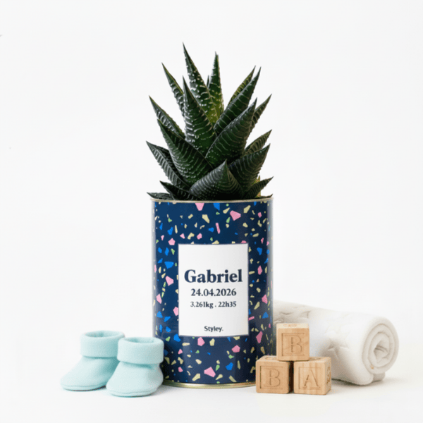 Cadeau naissance ou baptême : une plante qui grandit avec bébé