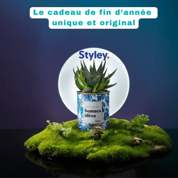 Goodies de fin d'année