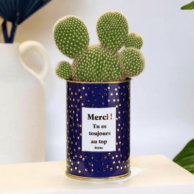 Comment remercier pour un cadeau ? Idées et messages originaux