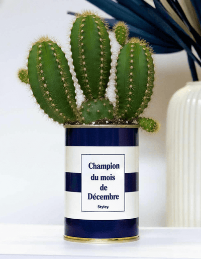 10 idées de challenges commerciaux originaux