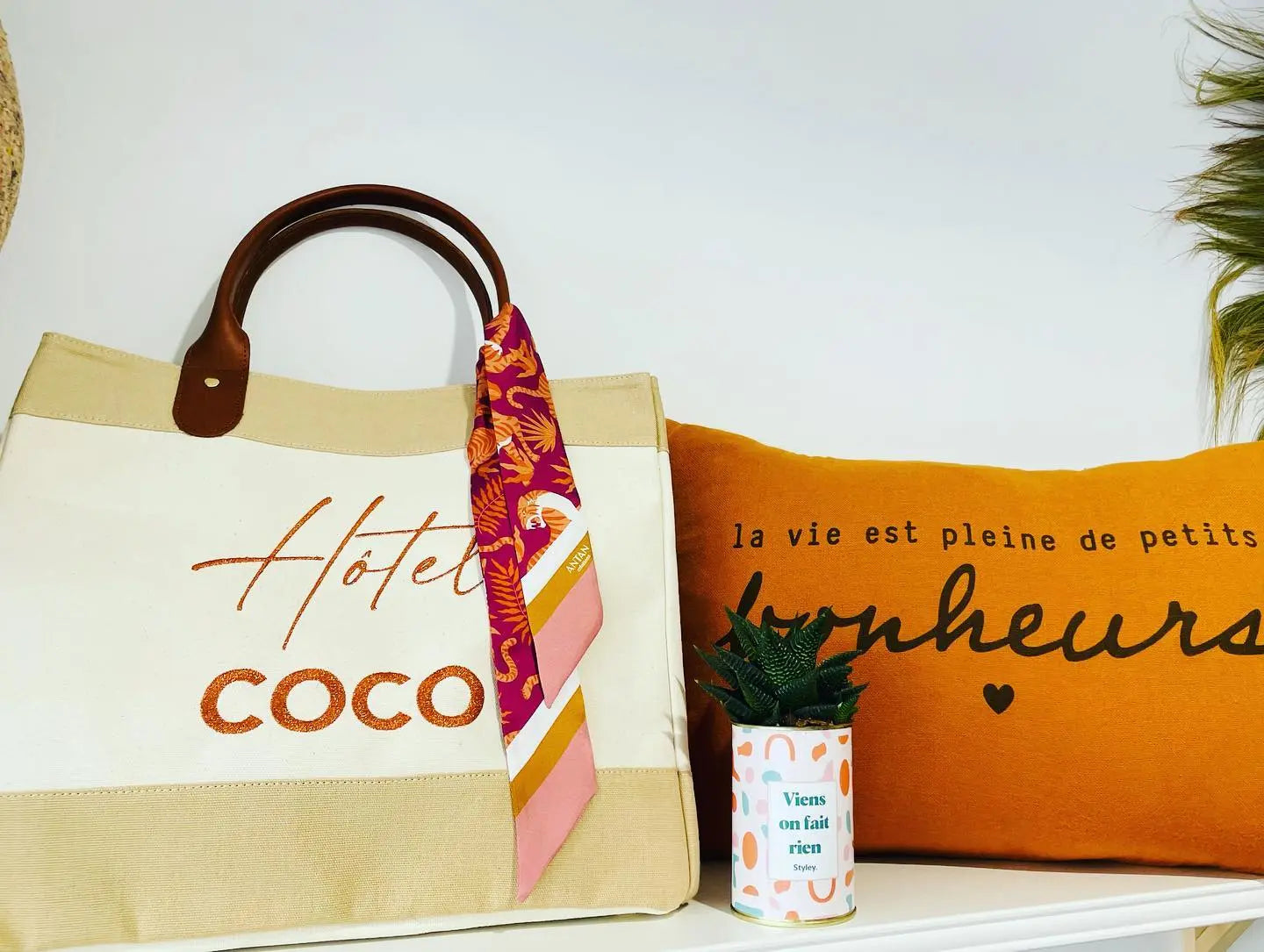 Les plantes personnalisées : le cadeau star des concept stores - Styley