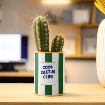 Offrir un cactus à un homme