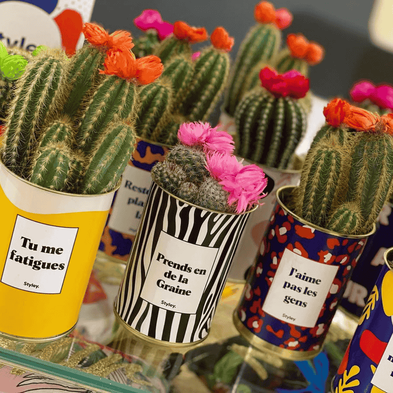 Deco pot de fleur