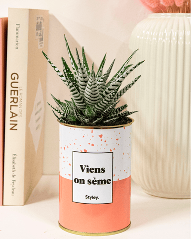 Cache-pot d'intérieur : protégez et décorez vos plantes