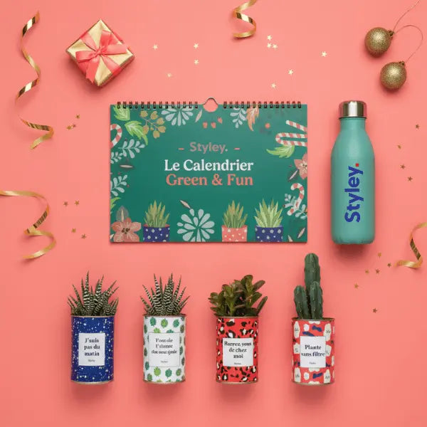 Qu’est-ce qu’un goodies ?