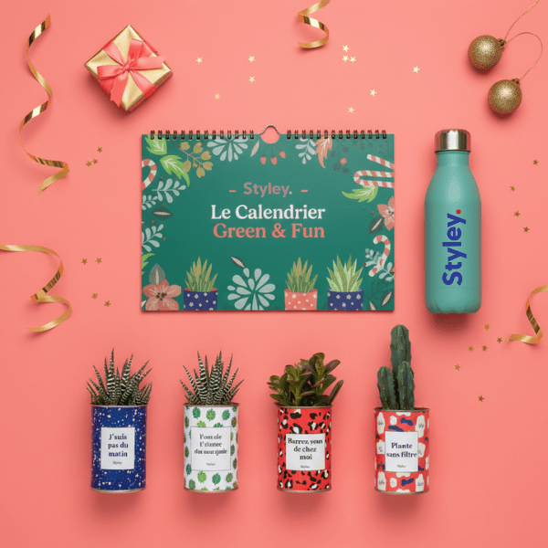 Qu’est-ce qu’un goodies ?