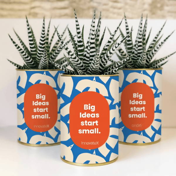 cadeau publicitaire : plante avec logo entreprise
