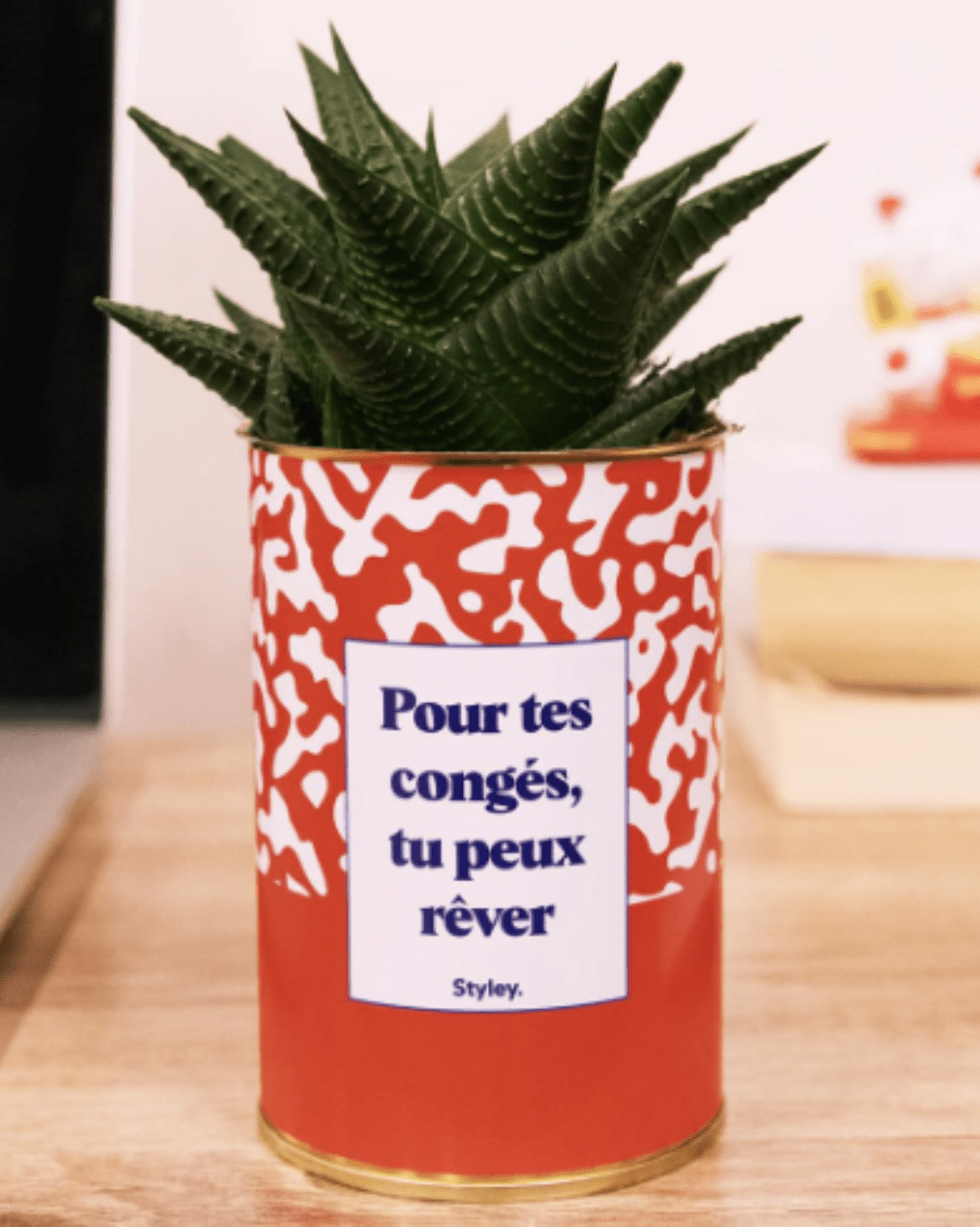 Quel cactus choisir pour un collègue (et quel message lui écrire) ? - Styley
