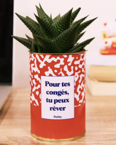 Quel cactus choisir pour un collègue (et quel message lui écrire) ?
