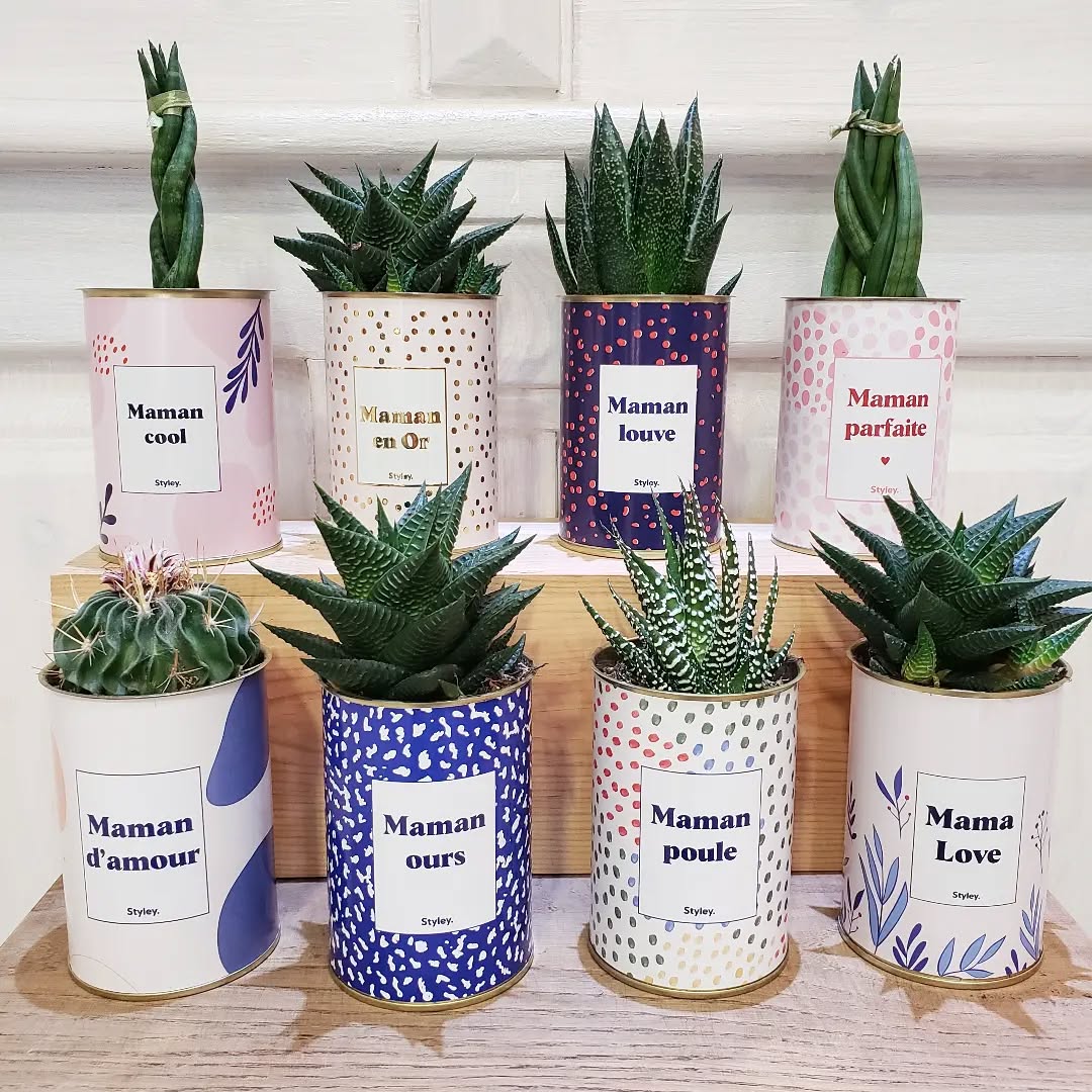 TOP 5 des pots Styley qui cartonnent en boutique