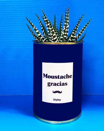 Messages de remerciement à offrir avec une plante - Styley