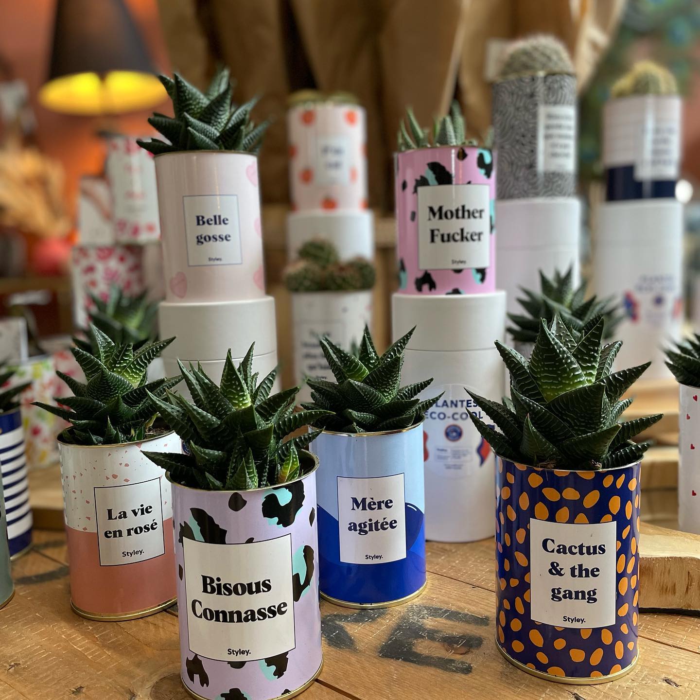 Boutique revendeur Styley