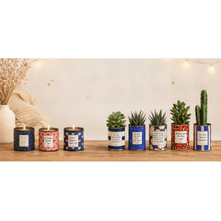 Plante + bougie : 5 associations qui cartonnent en boutique