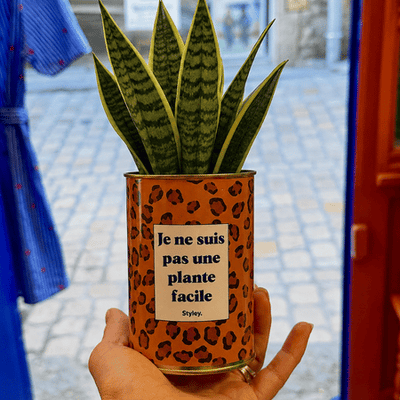 Que ramener quand on est invité à dîner
