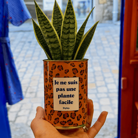 Que ramener quand on est invité à dîner