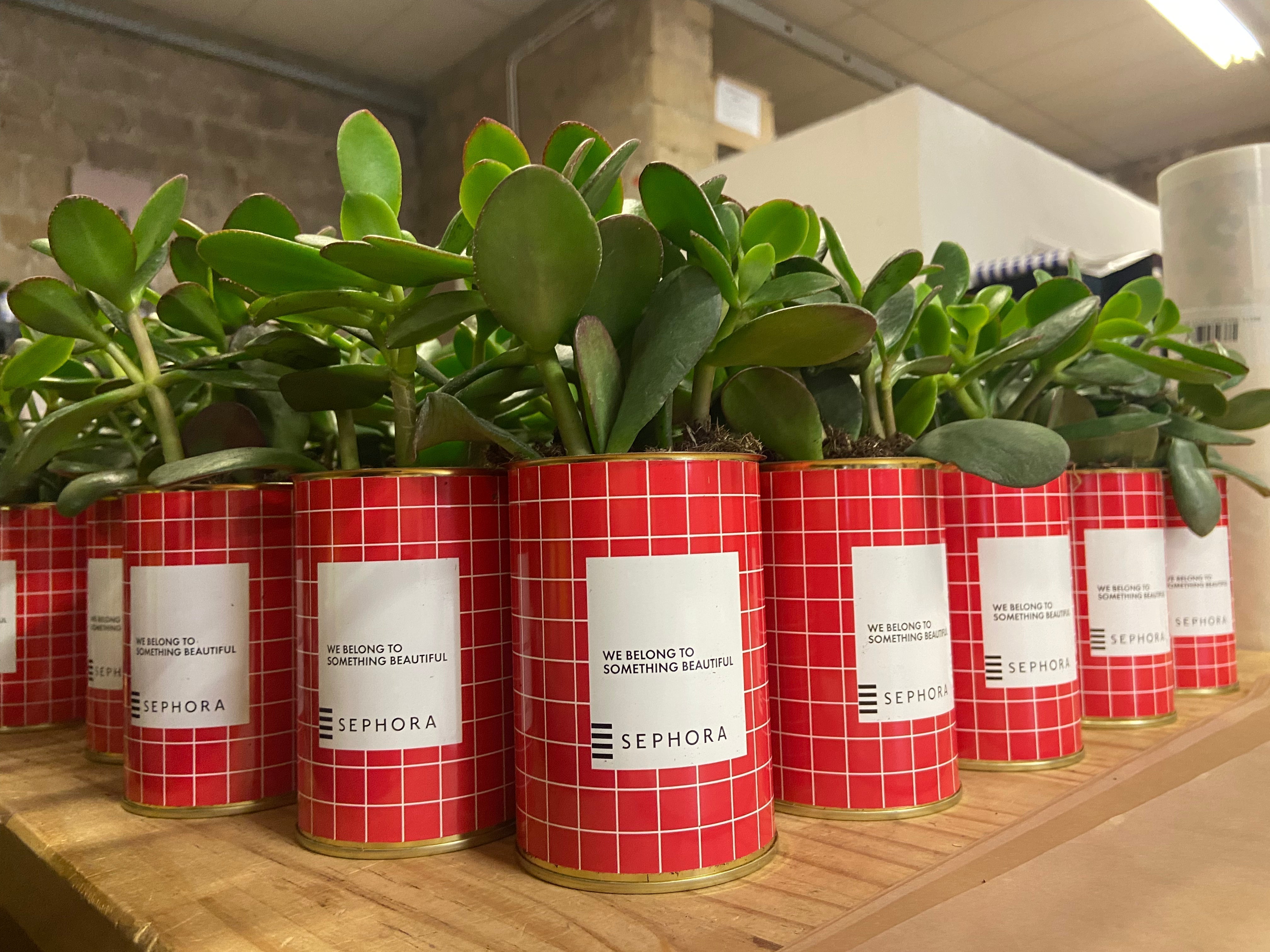 Cadeau entreprise écoresponsable