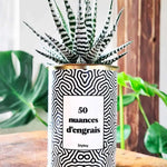 50 Nuances d'engrais - Plante Haworthia varié