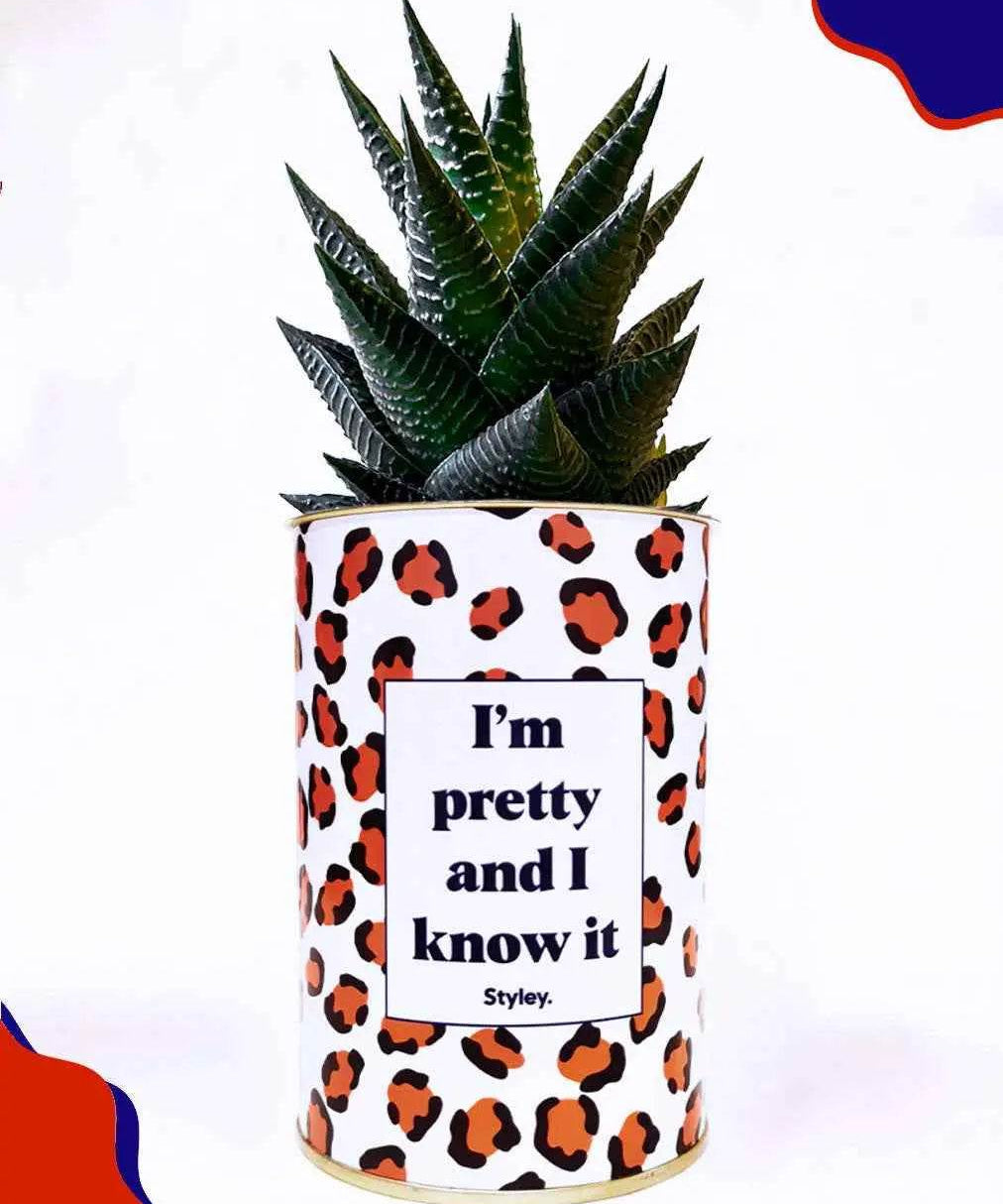 I'm pretty and I know it - Plante