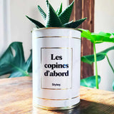 Les copines d'abord - Plante Haworthia varié
