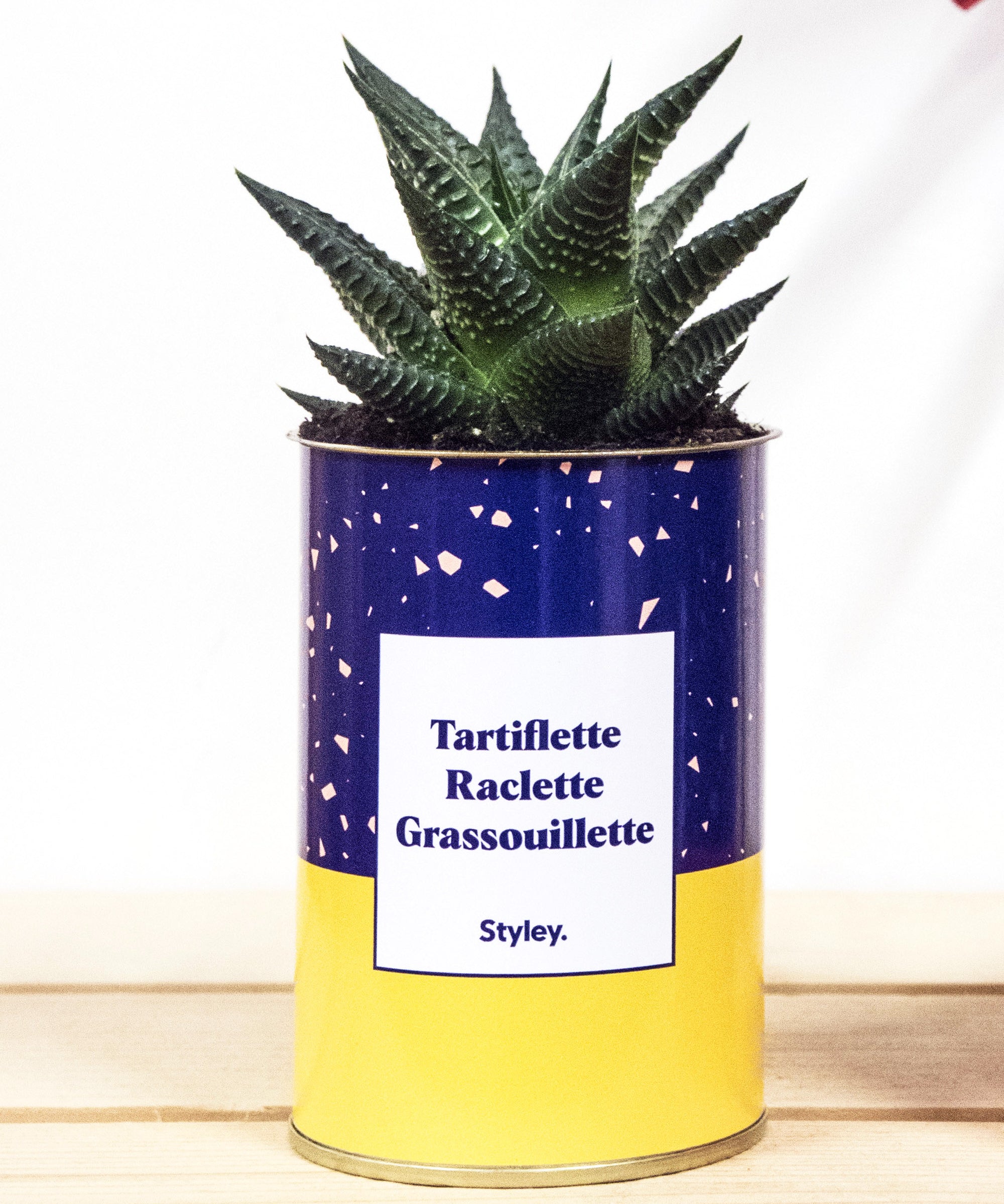 Tartiflette, raclette, grassouillette - Cactus