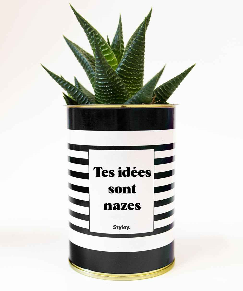 Tes idées sont nazes - Cactus