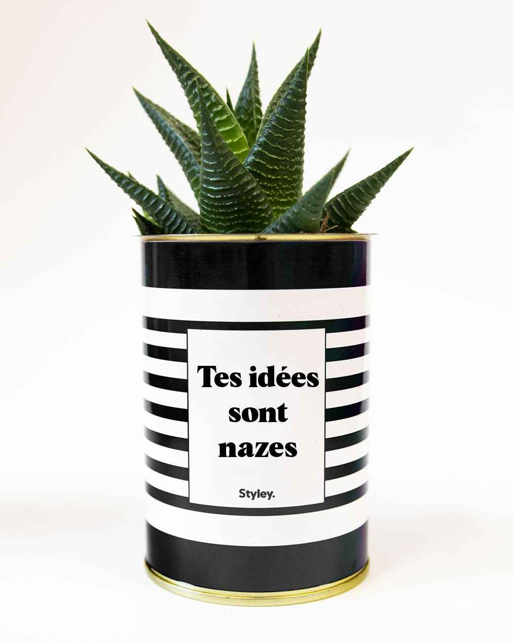 Tes idées sont nazes - Cactus