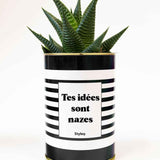 Tes idées sont nazes - Cactus