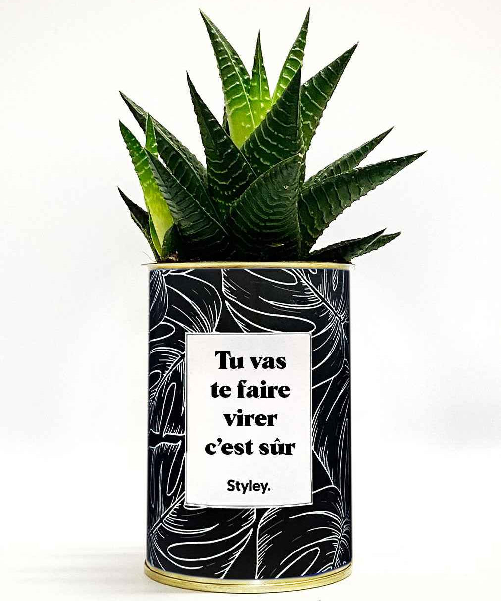 Tu vas te faire virer, c'est sûr - Cactus
