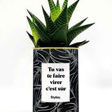 Tu vas te faire virer, c'est sûr - Cactus