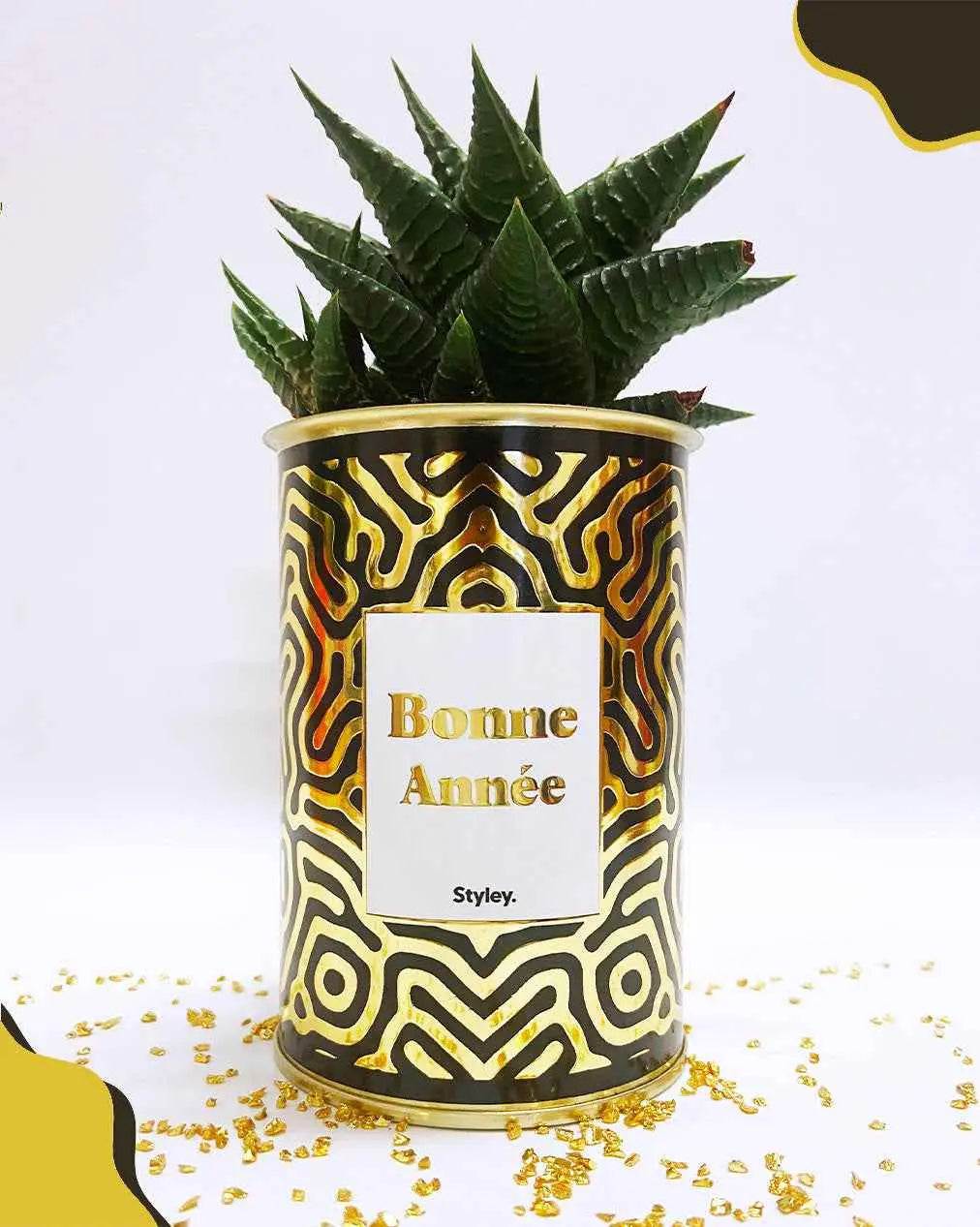 Bonne année - Plante - Finition dorée Crassula