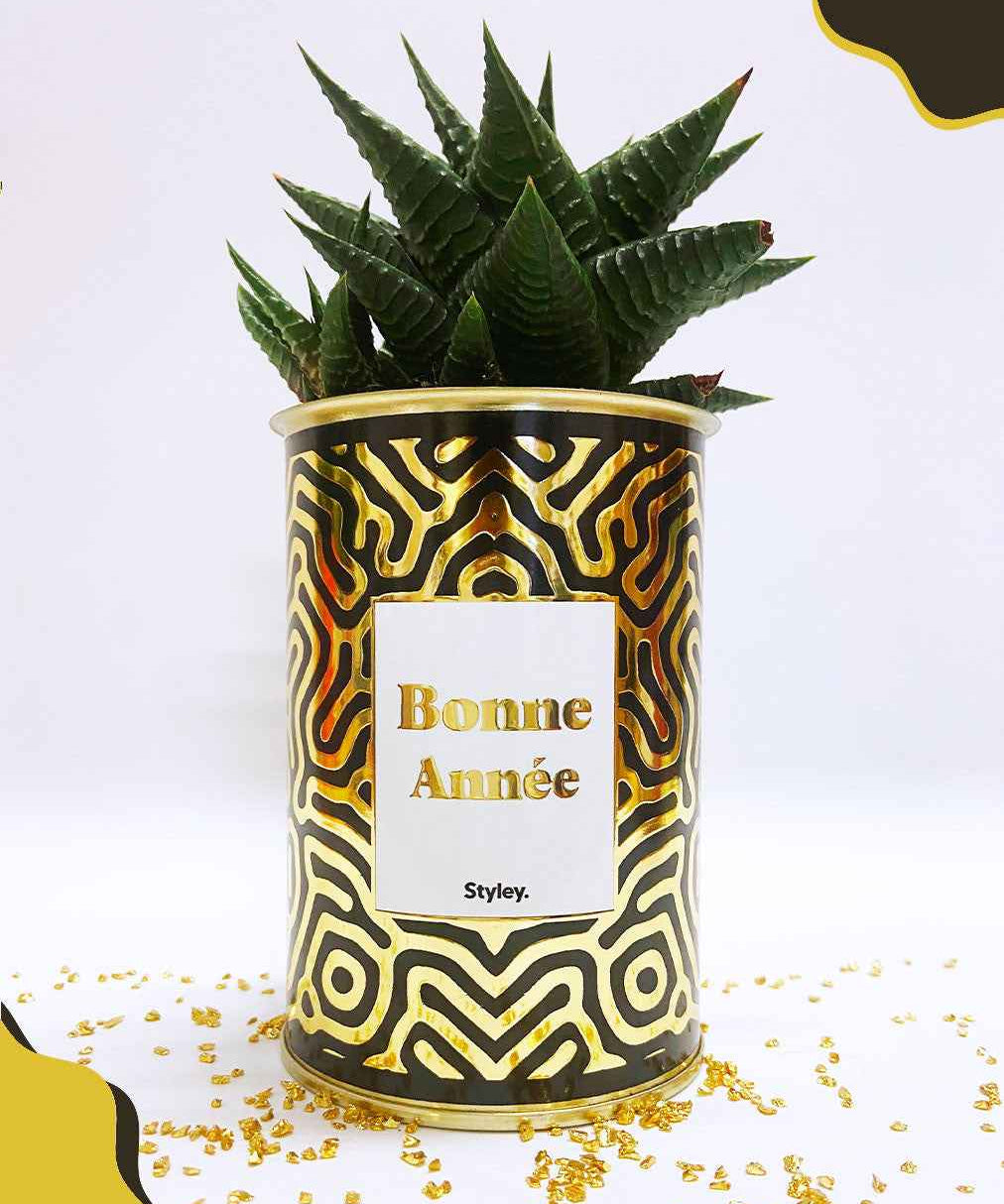 Bonne année - Cactus - Finition doré