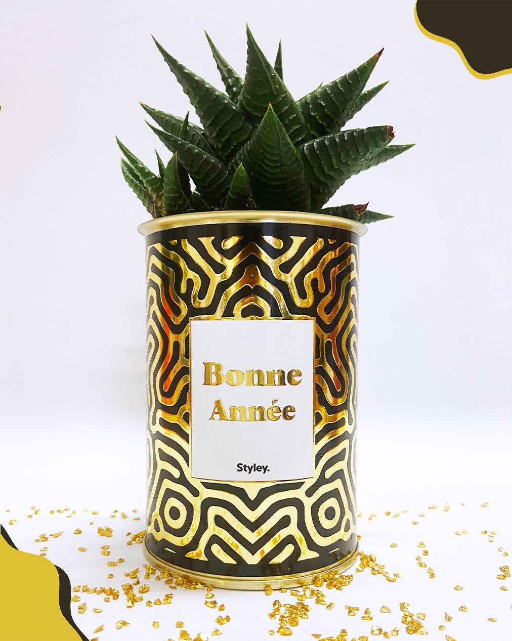 Bonne année - Cactus - Finition doré