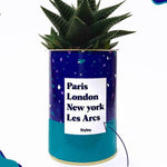Plante Paris, London, New York personnalisable - Plante Haworthia varié